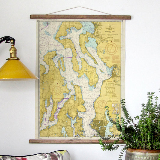 a map hanging on a wall next to a potted plant
