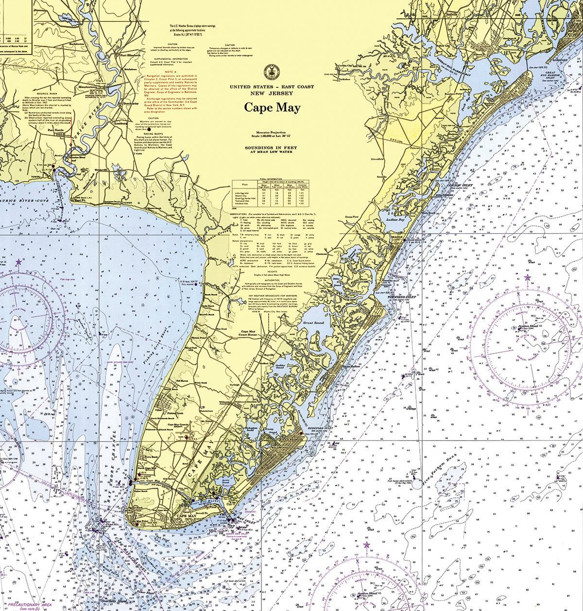Cape May, NJ Vintage Nautical Chart Shower Curtain