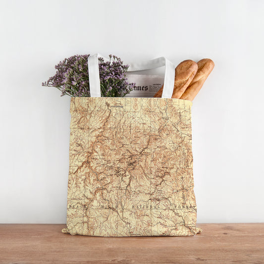 Black Hills National Forest SD Antique Topo map Tote