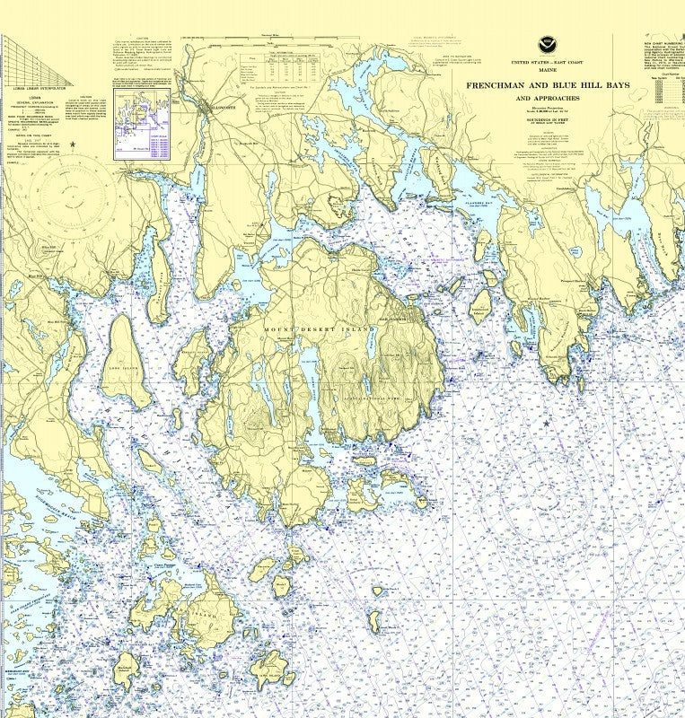 MDI with Frenchman & Blue Hill Bays, ME Nautical Chart Shower Curtain