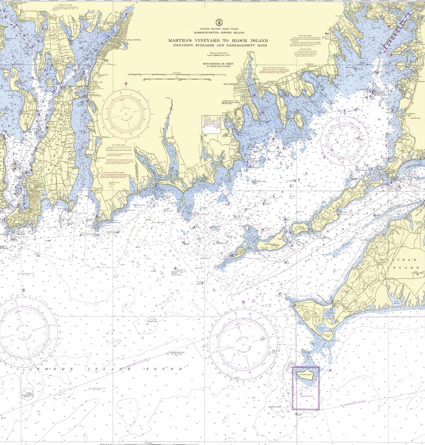 SouthCoast Nautical Chart Shower Curtain